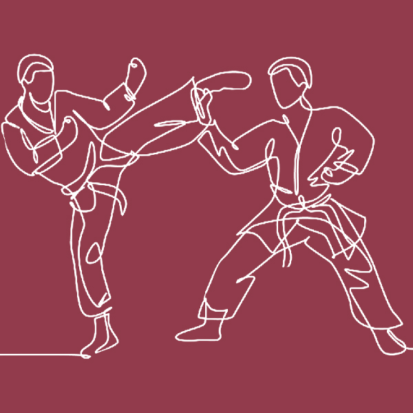 combat karate